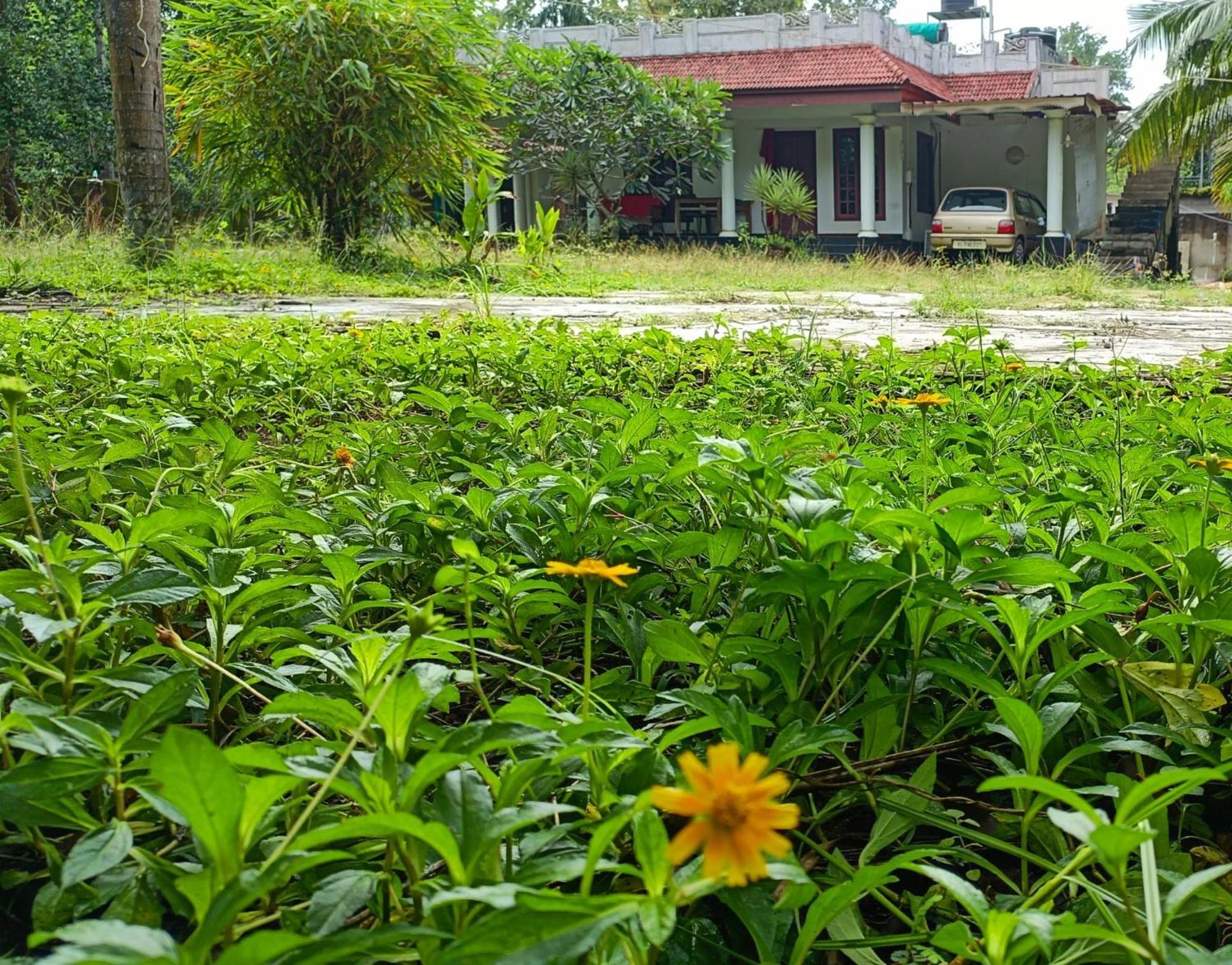 Angels' Homestay Marari Mararikulam Eksteriør billede